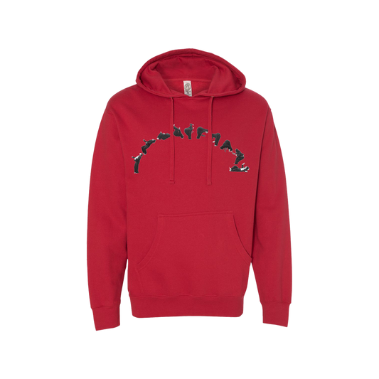 BACKFLIPS TOUR HOODIE